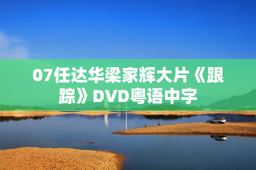07任达华梁家辉大片《跟踪》DVD粤语中字