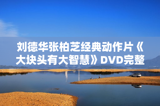 刘德华张柏芝经典动作片《大块头有大智慧》DVD完整版