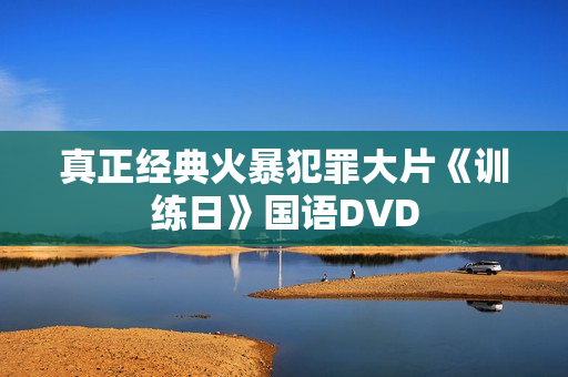真正经典火暴犯罪大片《训练日》国语DVD