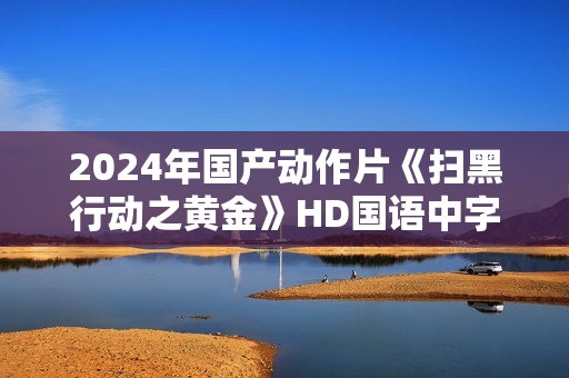 2024年国产动作片《扫黑行动之黄金》HD国语中字