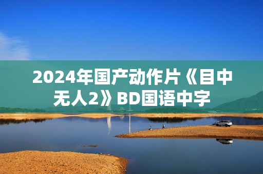 2024年国产动作片《目中无人2》BD国语中字