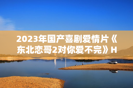 2023年国产喜剧爱情片《东北恋哥2对你爱不完》HD国语中字