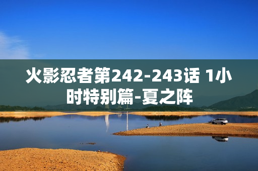 火影忍者第242-243话 1小时特别篇-夏之阵