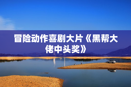 冒险动作喜剧大片《黑帮大佬中头奖》
