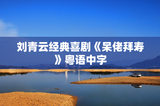 刘青云经典喜剧《呆佬拜寿》粤语中字