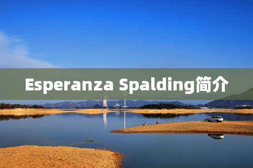 Esperanza Spalding简介