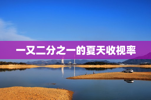 一又二分之一的夏天收视率