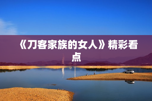《刀客家族的女人》精彩看点