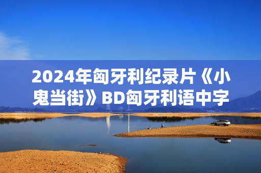 2024年匈牙利纪录片《小鬼当街》BD匈牙利语中字