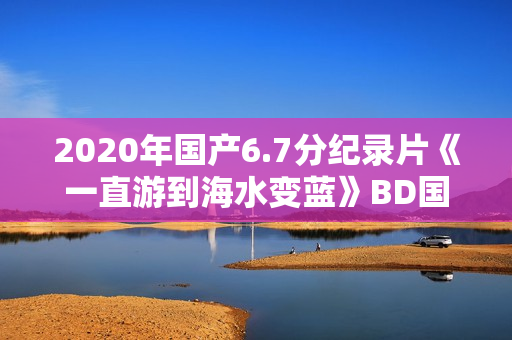 2020年国产6.7分纪录片《一直游到海水变蓝》BD国语中字