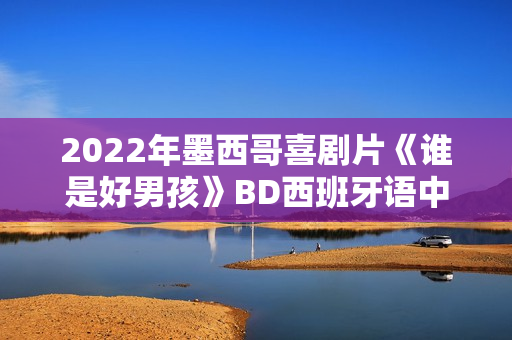 2022年墨西哥喜剧片《谁是好男孩》BD西班牙语中字