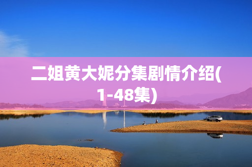 二姐黄大妮分集剧情介绍(1-48集)
