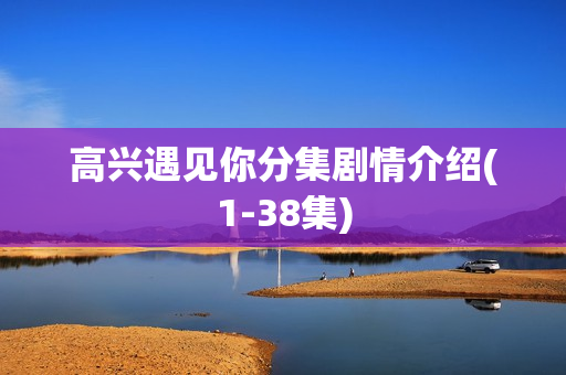 高兴遇见你分集剧情介绍(1-38集)