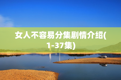 女人不容易分集剧情介绍(1-37集)