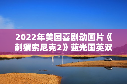 2022年美国喜剧动画片《刺猬索尼克2》蓝光国英双语中英双字