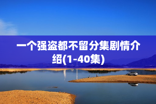 一个强盗都不留分集剧情介绍(1-40集)