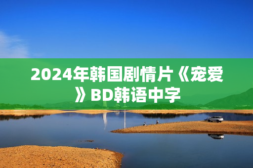 2024年韩国剧情片《宠爱》BD韩语中字