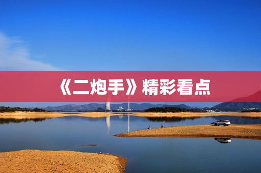 《二炮手》精彩看点