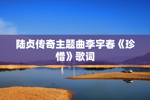 陆贞传奇主题曲李宇春《珍惜》歌词