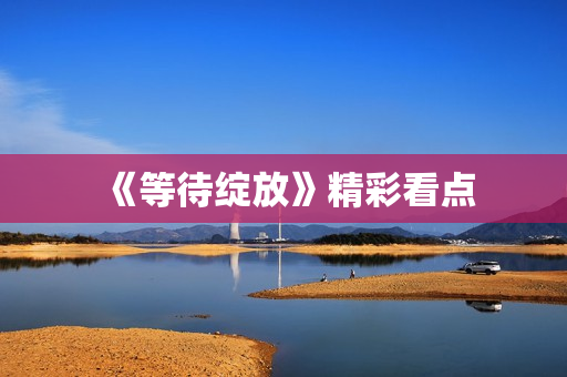 《等待绽放》精彩看点