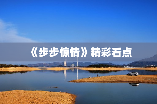 《步步惊情》精彩看点