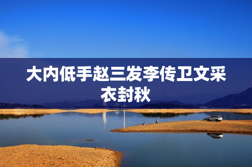 大内低手赵三发李传卫文采衣封秋