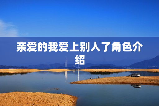 亲爱的我爱上别人了角色介绍