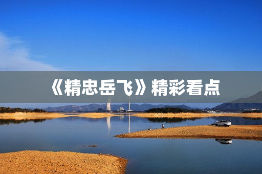 《精忠岳飞》精彩看点