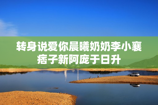转身说爱你晨曦奶奶李小襄痞子新阿庞于日升