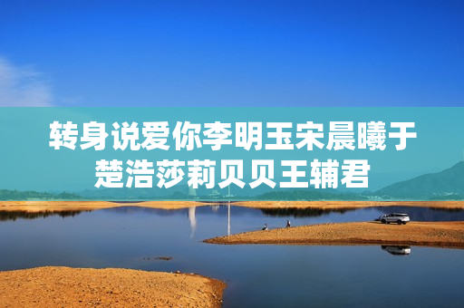 转身说爱你李明玉宋晨曦于楚浩莎莉贝贝王辅君