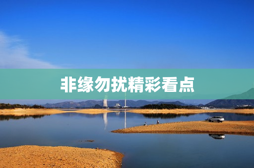 非缘勿扰精彩看点