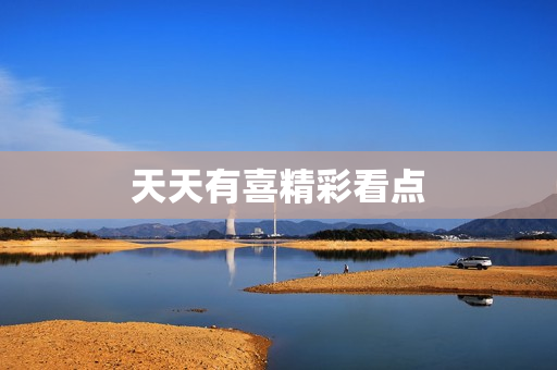 天天有喜精彩看点
