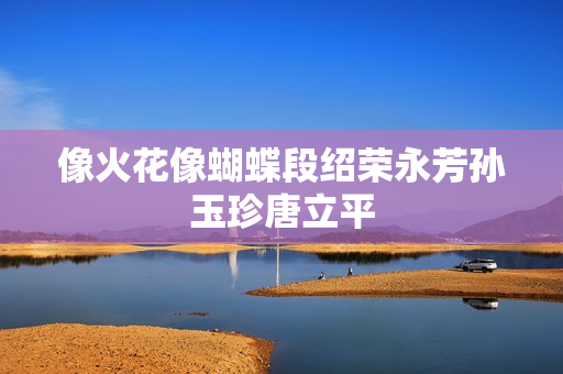 像火花像蝴蝶段绍荣永芳孙玉珍唐立平