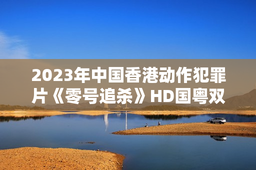 2023年中国香港动作犯罪片《零号追杀》HD国粤双语中字