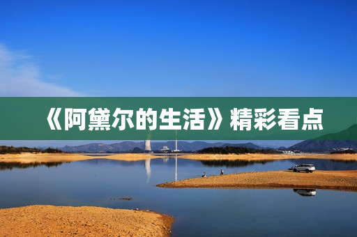 《阿黛尔的生活》精彩看点