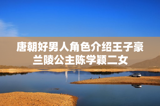 唐朝好男人角色介绍王子豪兰陵公主陈学颖二女