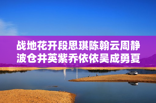 战地花开段思琪陈翰云周静波仓井英紫乔依依吴成勇夏志刚