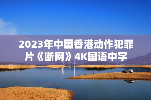 2023年中国香港动作犯罪片《断网》4K国语中字