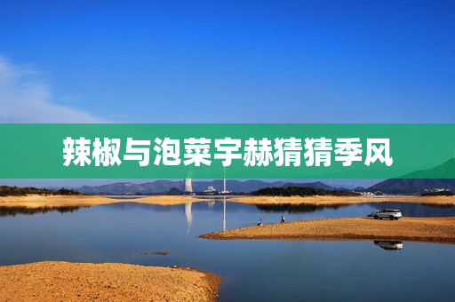 辣椒与泡菜宇赫猜猜季风