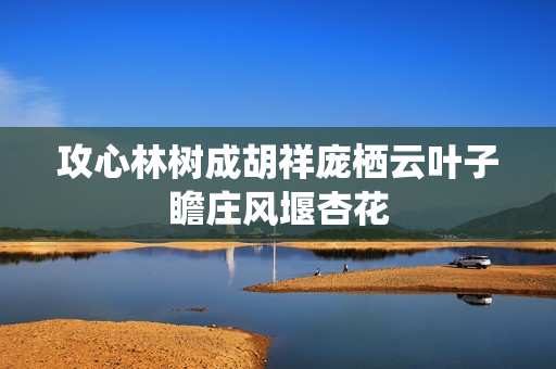 攻心林树成胡祥庞栖云叶子瞻庄风堰杏花
