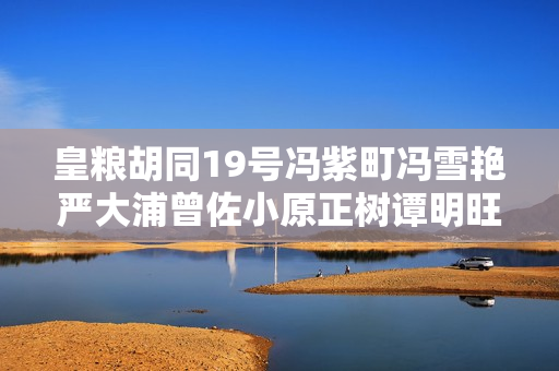 皇粮胡同19号冯紫町冯雪艳严大浦曾佐小原正树谭明旺