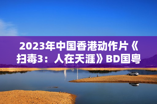 2023年中国香港动作片《扫毒3：人在天涯》BD国粤双语中字