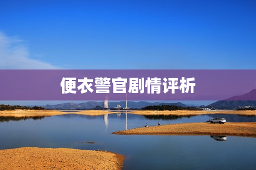 便衣警官剧情评析