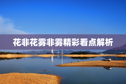 花非花雾非雾精彩看点解析