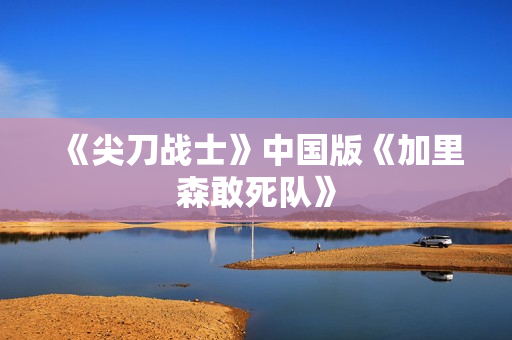 《尖刀战士》中国版《加里森敢死队》