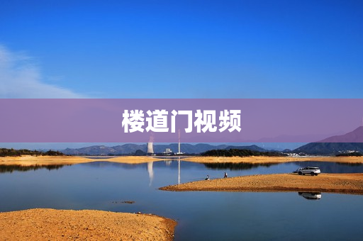 楼道门视频