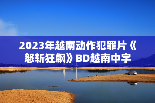 2023年越南动作犯罪片《怒斩狂飙》BD越南中字