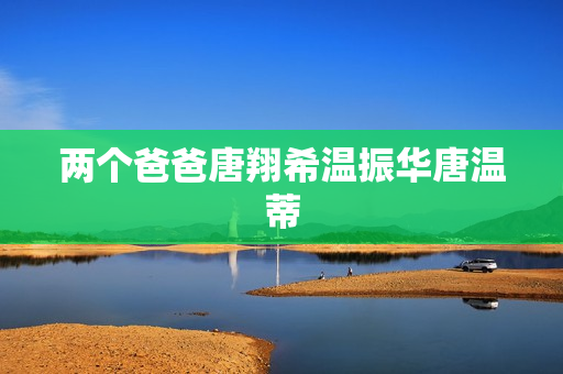 两个爸爸唐翔希温振华唐温蒂