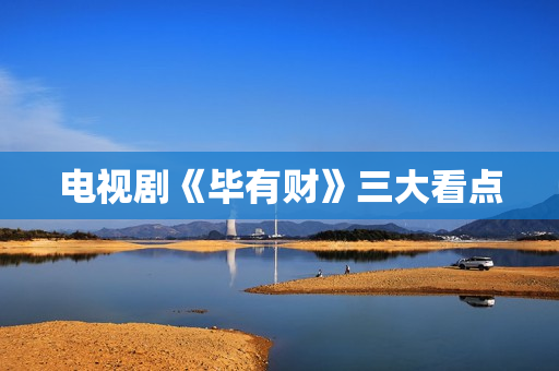 电视剧《毕有财》三大看点