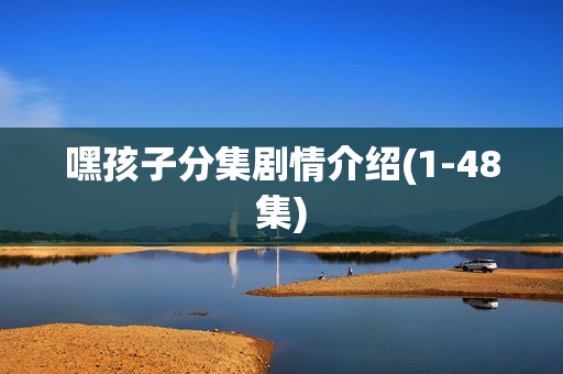 嘿孩子分集剧情介绍(1-48集)